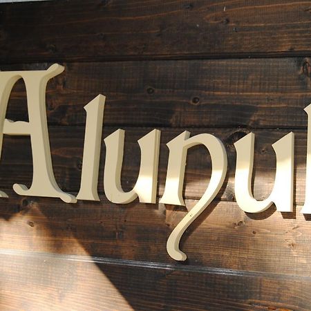 Cornul Vanatorului Bungalows Piteszti Zewnętrze zdjęcie