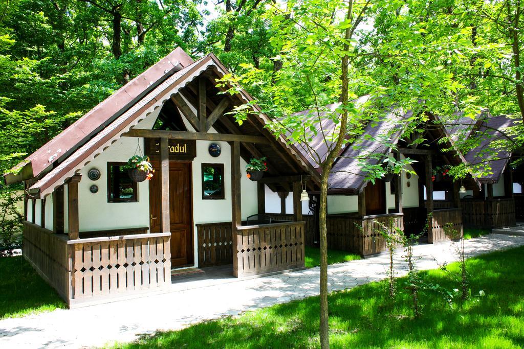 Cornul Vanatorului Bungalows Piteszti Zewnętrze zdjęcie