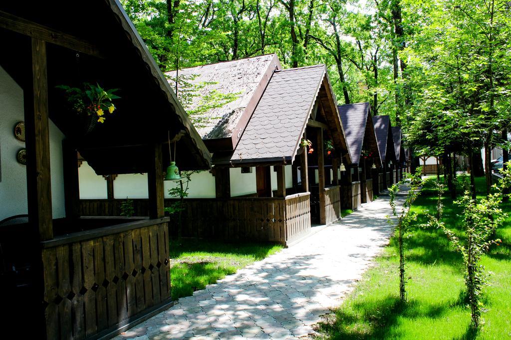 Cornul Vanatorului Bungalows Piteszti Zewnętrze zdjęcie