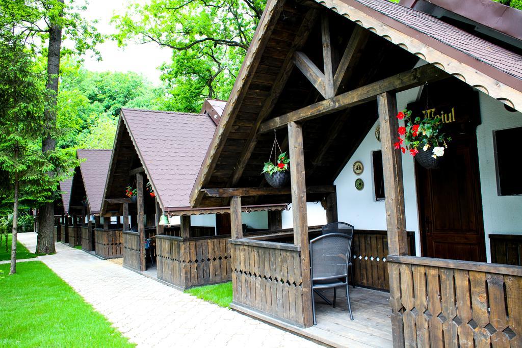 Cornul Vanatorului Bungalows Piteszti Zewnętrze zdjęcie