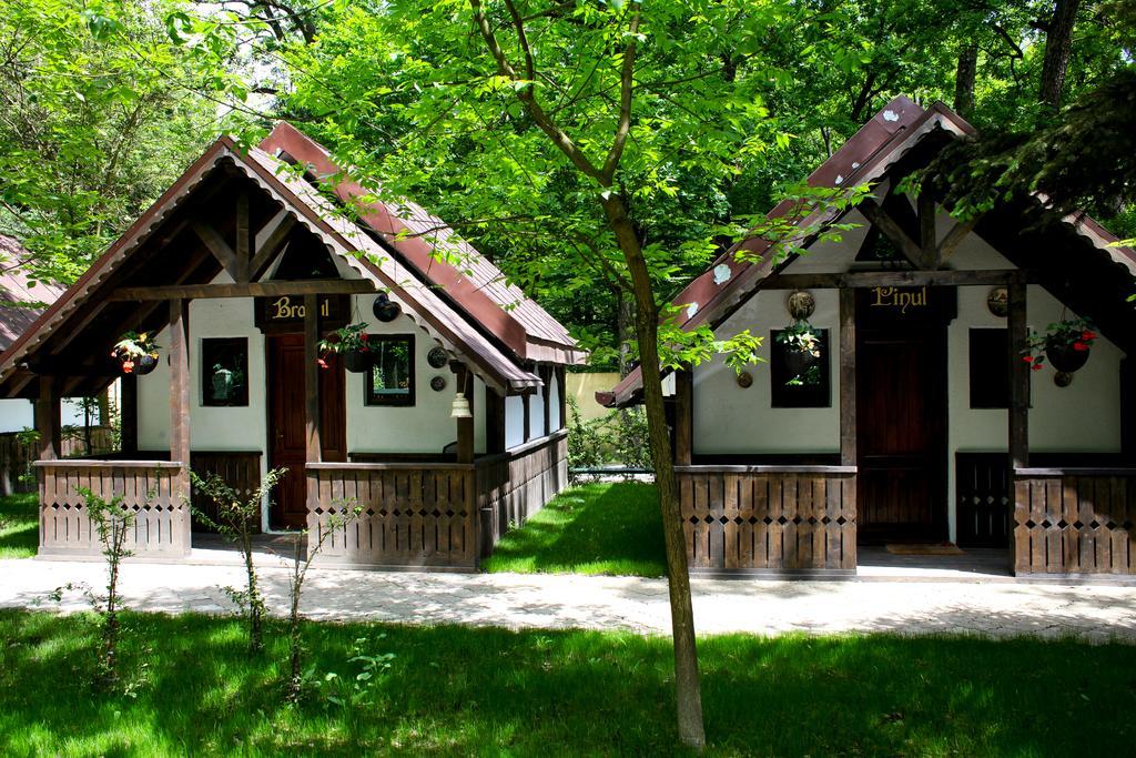 Cornul Vanatorului Bungalows Piteszti Zewnętrze zdjęcie