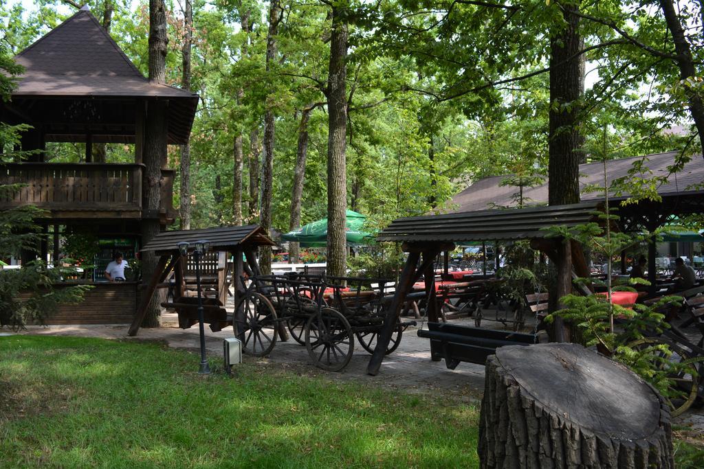 Cornul Vanatorului Bungalows Piteszti Zewnętrze zdjęcie