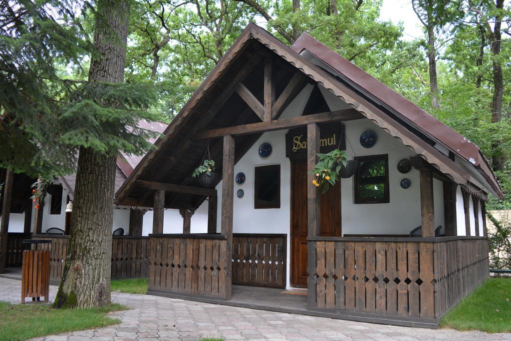 Cornul Vanatorului Bungalows Piteszti Zewnętrze zdjęcie