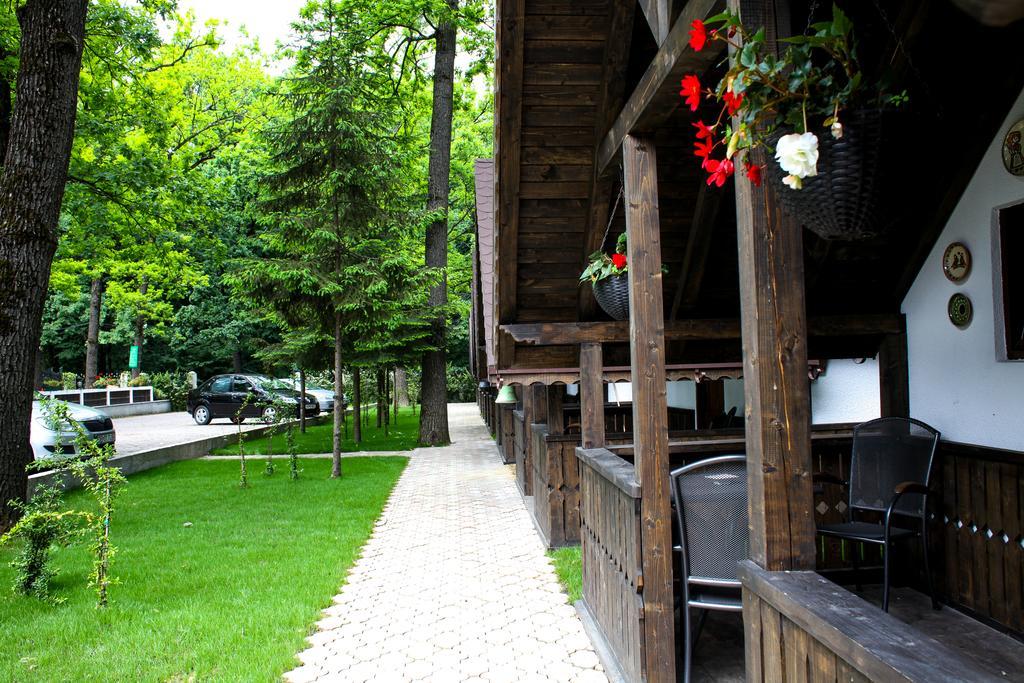 Cornul Vanatorului Bungalows Piteszti Zewnętrze zdjęcie